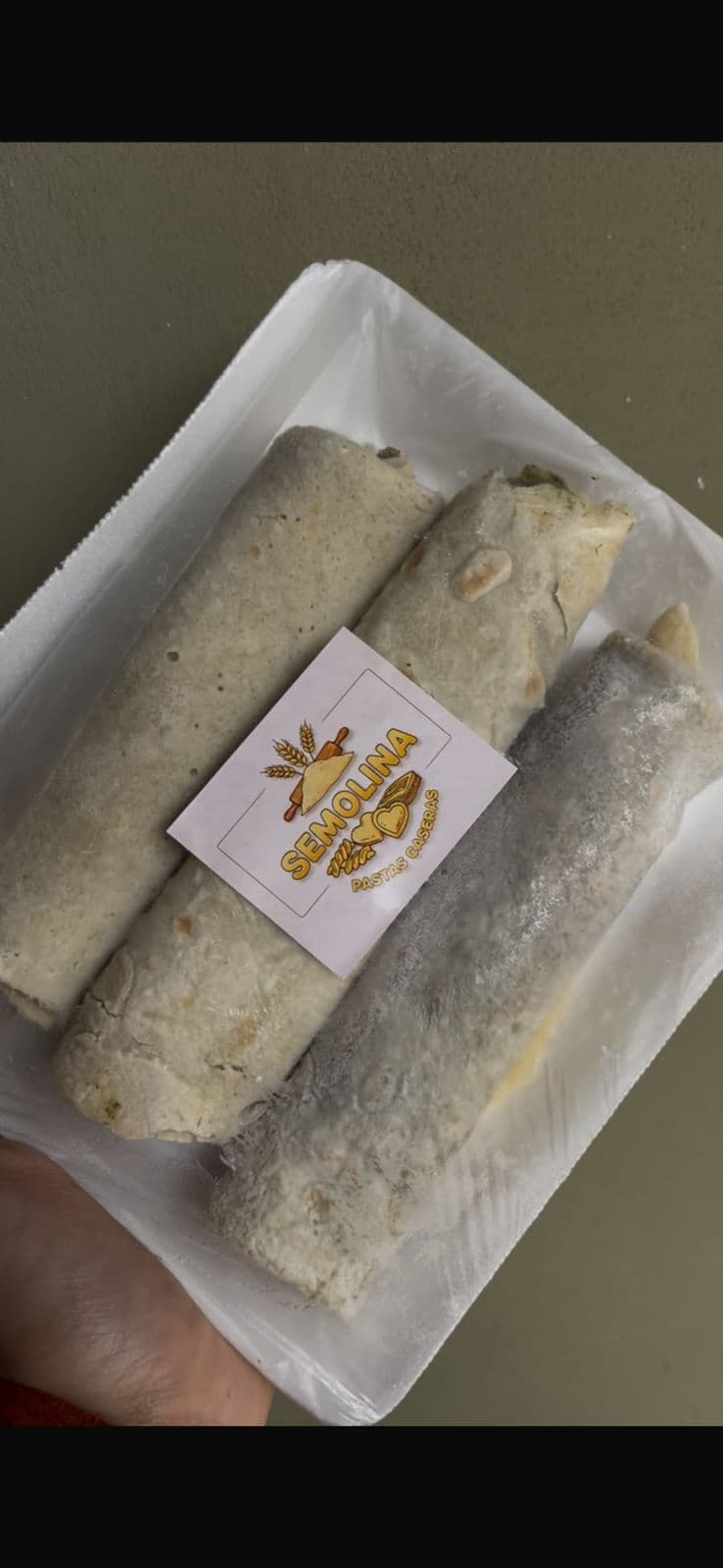 Canelones de verdura y pollo