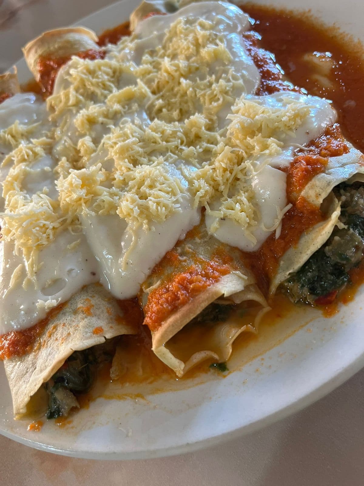 Canelones de verdura